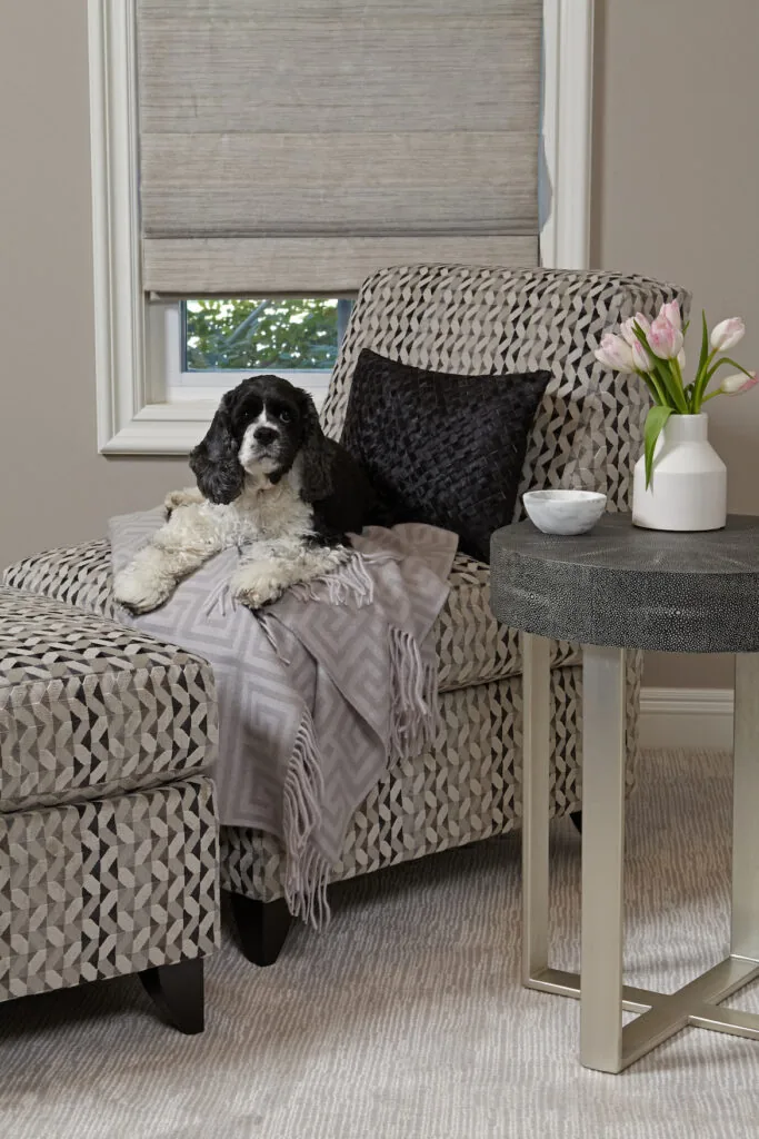 Burbank Contemporary: a sitting corner